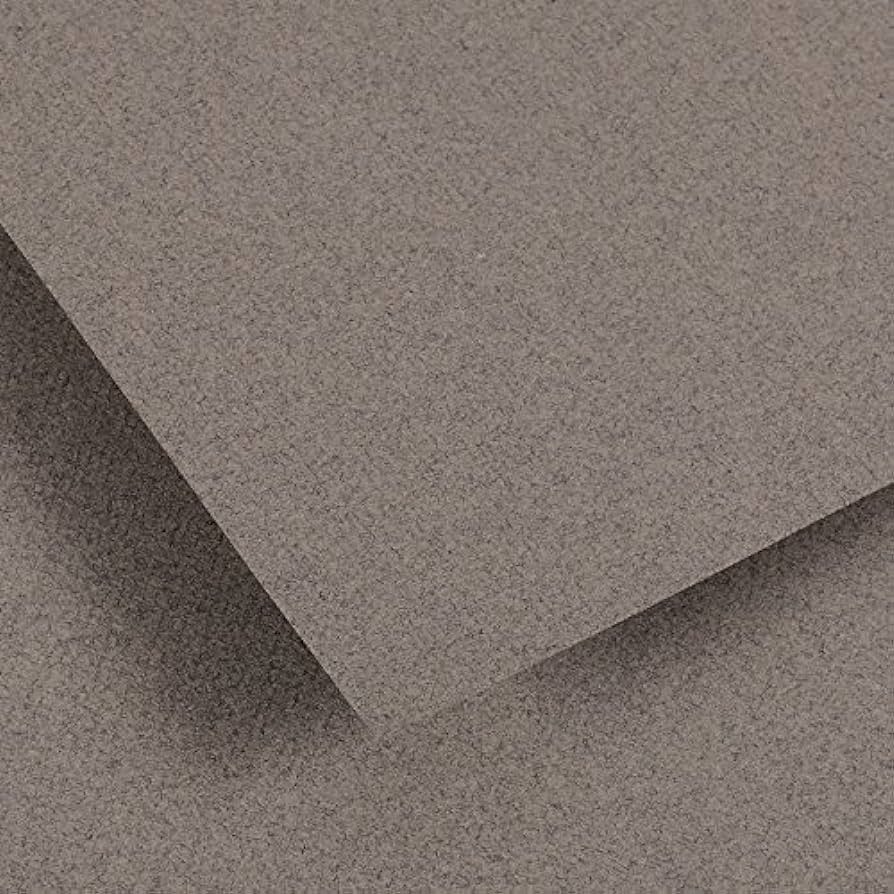 Papier Canson Ingres Vidalon - Lot De 25 Feuilles 50x65 Cm, 100g/m², Couleur Lichen 48 - Pour Dessin, Pastel, Croquis